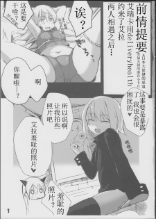 (C84) [Roubai-tei (atahuta)] Karlsland-ryuu Sakusei Strategy (Strike Witches) [Chinese] [Benny个人汉化] - page 3