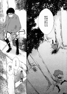 (C85) [RIX (Mamiya)] Ten ni Habataku Sono Hi Made (Shingeki no Kyojin) - page 4