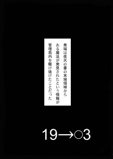 [Fresnel Lens (Hirano Kana)] 19→o3 VerF (Mahou Shoujo Lyrical Nanoha) [Digital] - page 2