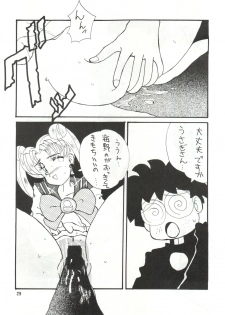 (CR12) [Ariari no Nashinashi (Various)] See You Again Sailors (Bishoujo Senshi Sailor Moon) - page 29