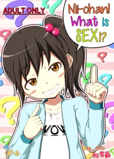 [Kureiji (Pooru)] Nii-chan SEX tte Nani!? | Nii-chan! What is SEX!? [English] [sneikkimies]