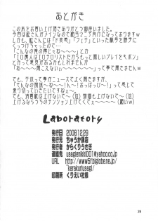 (C75) [Chuuka Hanten (Karakuriusagi)] Laboratory (Sekirei) - page 26