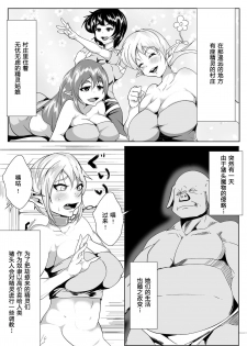 [AKYS Honpo] Jirasare Elf no Choukyou Nikki [Chinese] [八十万禁书教头汉化] - page 2