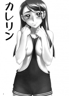 (C73) [Gerupin (Minazuki Juuzou)] Karerin (Yes! PreCure 5) [Chinese] [final個人漢化] [Decensored] - page 2