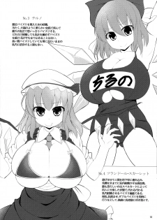 (C90) [Shiroi Famicon (Facominn)] Sakuen no Miko (Touhou Project) - page 19