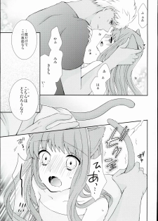 (C84) [Ahoge (Satsuki)] Neko-ka Master! (Fate/EXTRA) - page 17