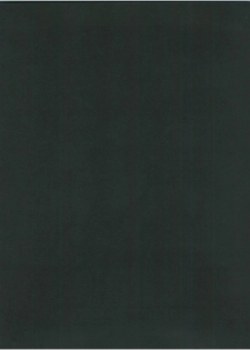 [ALPS (George Romerow)] Maison Zankoku (Maison Ikkoku) - page 2
