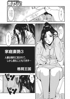[Kakutou Oukoku] Katei Saien Vol. 1 [Digital] - page 40