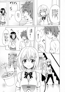 (C91) [TORA MACHINE (Kasukabe Taro)] Mezase! Rakuen Keikaku Vol. 2 (To LOVE-Ru) - page 14