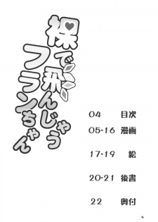 (C91) [Angelic Feather (Land Sale)] Hadaka de Tonjau Flan-chan (Touhou Project) - page 3