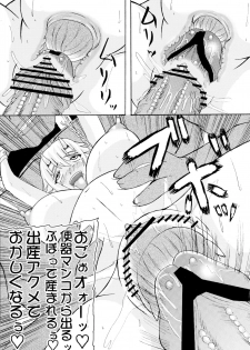 (SC37) [Kyoten Heichou (Iwai Takeshi)] Kyoufu no 14 e Ike (Queen's Blade) - page 25