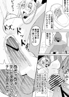 (SC37) [Kyoten Heichou (Iwai Takeshi)] Kyoufu no 14 e Ike (Queen's Blade) - page 26