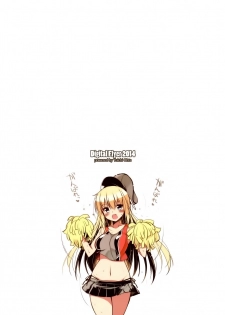 (C87) [Digital Flyer (Oota Yuuichi)] BisColle -Bismarck Collection 2014- (Kantai Collection -KanColle-) [Chinese] [文文+叢雲阻力小漢化] - page 2
