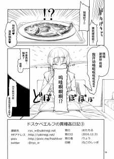 (C91) [Metamor (Ryo)] Dosukebe Elf no Ishukan Nikki 3 [Chinese] [无毒汉化组] - page 38