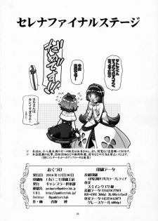(C91) [Gambler Club (Kousaka Jun)] PM GALS Serena Final Stage (Pokémon) - page 25