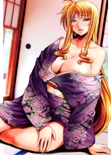 (C91) [Metabo Offensive Smell Uproar (Itachou)] F -Hontou no Watashi- (Mahou Shoujo Lyrical Nanoha) - page 29