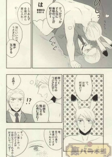 (C86) [88 (hinoe)] Usagi no Kimochi (Axis Powers Hetalia) - page 9