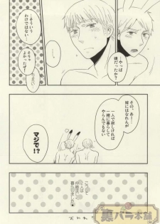 (C86) [88 (hinoe)] Usagi no Kimochi (Axis Powers Hetalia) - page 19