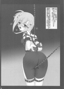 (C91) [Thirty Saver Street (Maki Hideto, Sawara Kazumitsu)] Storage Bind 5 (Mahou Shoujo Lyrical Nanoha) - page 17
