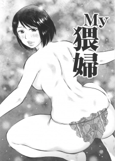 (C88) [Uramac (Masuda Tsuyoshi)] Hitozuma Zukan 3 - page 29