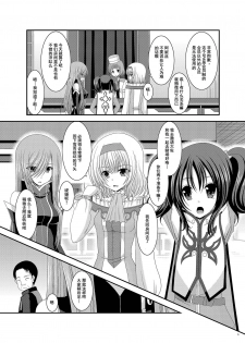 [valssu (Charu)] Melon ga Chou Shindou! R7 (Tales of the Abyss) [Chinese] [流星汉化] [Digital] - page 4