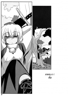 (C87) [Kieyza cmp (Kieyza)] TOHO N+ 109/14 (Touhou Project) - page 5