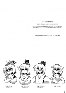 (C87) [Kieyza cmp (Kieyza)] TOHO N+ 109/14 (Touhou Project) - page 4