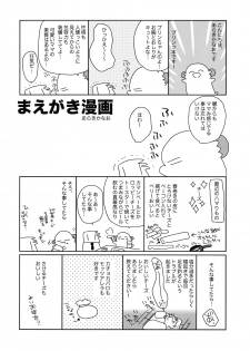 (C91) [ciaociao (Araki Kanao)] Nameraka Prinz (Kantai Collection -KanColle-) - page 3