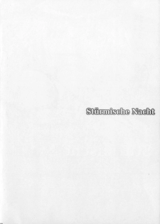 (C91) [HMA (Hiyoshi Hana)] Stürmische Nacht (Kantai Collection -KanColle-) - page 3