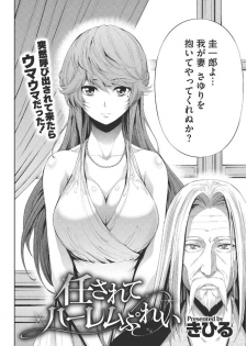 [Kihiru] Kirei na Onna to H no Houteishiki [Digital] - page 4