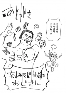 (C86) [Dot Eito (Sawayaka Samehada)] Kyuukyoku Hansoku (Touhou Project) [Chinese] [Kanade汉化组] - page 17