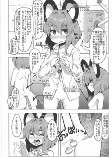 (C91) [Cheese Company (Peso)] Jikkenyou Nazrin (Touhou Project) - page 3