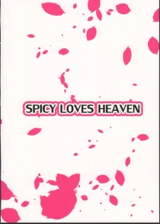 (C90) [Spicy Loves Heaven (Kamita)] Otoshite Miro yo! (Summon Night 5) - page 24