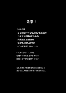 [02 (Harasaki)] Sumireko-chan no Chitsunai ni Gokiburi o Ireru Hon (Touhou Project) [Digital] - page 4