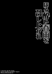(SC2015 Autumn) [Kinokonomi (konomi)] Horoyoi Harusame o Meshiagare | Have a Tipsy Harusame (Kantai Collection -KanColle-) [English] {Rinruririn + Afro} - page 4