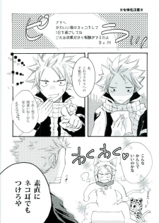 (C89) [Ohtohcan (Mitsukan)] Yoiyami no Hoshi (FAIRY TAIL) - page 10