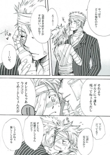 (C89) [Ohtohcan (Mitsukan)] Yoiyami no Hoshi (FAIRY TAIL) - page 29