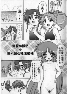 (C84) [COUNTER ATTACK (Gyakushuu Takeshi)] Pink Sugar 20th Anniversary Special (Bishoujo Senshi Sailor Moon) - page 27