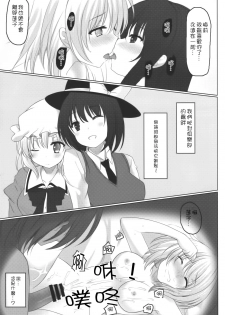 (C87) [Aki no Yonaga ni Yoiyami ni (Nagatsuki Rio)] Kyoukai no Mukougawa (Touhou Project) [Chinese] [Kanade汉化组] - page 18