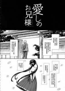 (C91) [NOSEBLEED (Miyamoto Issa)] Itoshi no Onii-sama Lilim's Gaiden [Chinese] [无毒汉化组] [Decensored] - page 4