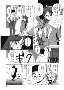 [Hiraki Naori] Mahou Oujo [Digital] - page 21