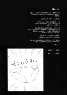 (C91) [Anmitsuyomogitei (Michiking)] Karakai Jouzu no Alice-san! + Kaijou Gentei Paper (Touhou Project) - page 24