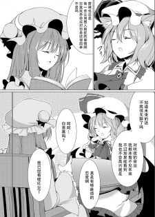 [Kochou no Yume (Utakata)] Ojou-sama to Otawamure | 和大小姐的床戏 (Touhou Project) [Chinese] [Kanade汉化组] [Digital] - page 9