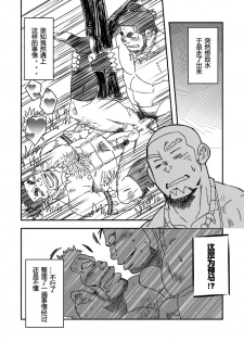 (C84) [Maru Tendon (Eikichi)] Monhan (Monster Hunter) [Chinese] - page 11