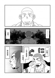 (C84) [Maru Tendon (Eikichi)] Monhan (Monster Hunter) [Chinese] - page 4