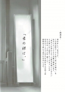 (C91) [Hiroshikidou (Hiroshiki)] Kimi no Ra wa. (Kimi no Na wa.) - page 3
