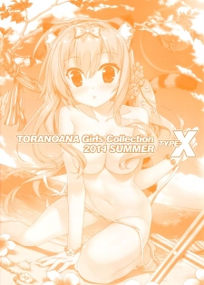 (C86) [Tsukuru no Mori Kabushikigaisha (Various)] TORANOANA Girls Collection 2014 SUMMER TYPE-X - page 2