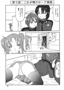 [Kyapa CITY (Torai Ryuu)] Yureru Omoi (Gundam SEED DESTINY) [Digital] - page 28