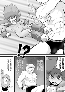 [Yoshitakashi Athletic (Yasaka)] STAR PHOENIX & GRYPHON: THE STAR HEROES - page 15