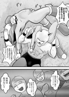 [Yoshitakashi Athletic (Yasaka)] STAR PHOENIX & GRYPHON: THE STAR HEROES - page 9